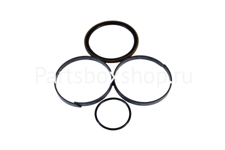 Ремкомплект гидроцилиндра S48/81020 OKKS - заказать Ремкомплект гидроцилиндра S48/81020 OKKS